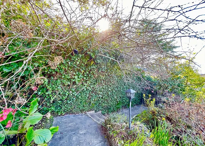 Raspberry Terrace Of Leura